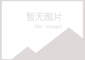 象山区浮夸金属有限公司